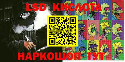 гидропоника Кунгур