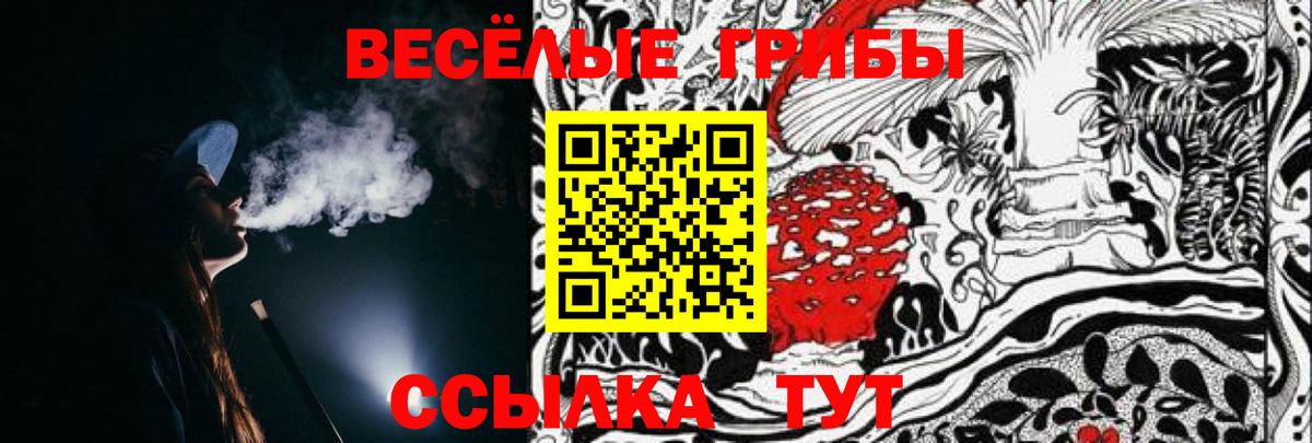 Галлюциногенные грибы мицелий  Вход с VPN  Малоярославец 