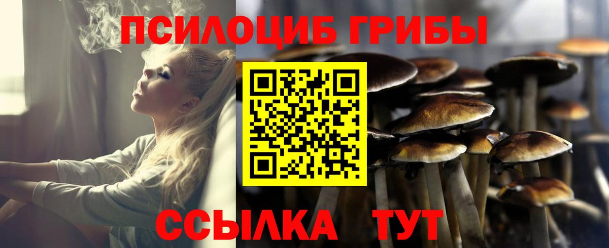 Галлюциногенные грибы Magic Shrooms Малоярославец
